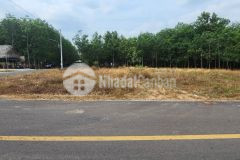 Nhanh tay xem đất ngân hàng thanh lý vừa ra giá chỉ 260trlô, sổ sẵn.