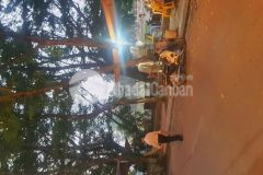 Bán gấp nhà 5 tầng siêu hiếm, phố nhuệ giang, kinh doanh, view đẹp, 11 tỷ có thương lượng