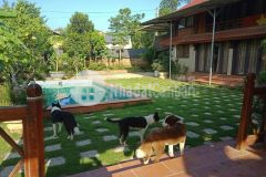 Cần tiền kinh doanh e bán nhanh siêu phẩm tâm huyết tai huyện lương sơn tỉnh hoà bình