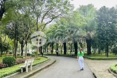 Bán nhà nguyễn văn cừ.32m,4t,3 tỷ5.0936.152.588