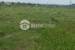 Bán 1899m2 đất tại bình thuận. cách nhựa 30m. sổ đỏ chính chủ 870tr. lh0919527789.