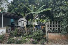 Bán đất giá rẻ full thổ cư tại thôn phú ninh, thanh vân, tam dương, vĩnh phúc. lh 0986934038