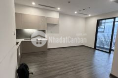 Hot deal căn hộ the zenpark 2pn2wc chỉ 3,3 tỷ bp tại vinhomes ocean park