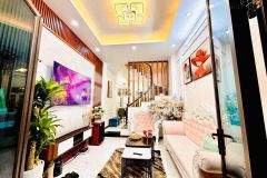 Cần bán nhà gấp phố lạc long quân,dt 65mx5 tầng,ô tô đỗ cổng,giá 9.9 tỷ.