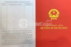 Bán đất giáo dục tại đường vườn lài nối dài phường an phú đông, quận 12, tp. hồ chí minh