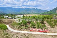 Bán đất vườn diên tân quy hoạch full thổ cư sát bên hương lộ 62 đường bê tông 5m