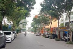 Bán nhà mặt phố việt hưng 96m2x5t mt6m chào 32 đồng thang máy, vỉ hè, kinh doanh đỉnh làm vă