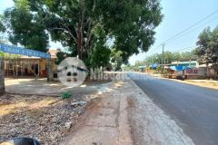 Calista lộc an tầm nhìn của sự phát triển