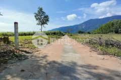 Bán đất vườn khánh hiệp giá rẻ phù hợp quy hoạch thổ cư gần tỉnh lộ 8c