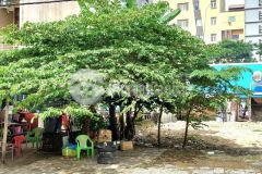 Lô đất đẹp 90m2 sát nguyễn văn thoại trần bạch đằng cách biển 100m chỉ 9 tỷ