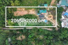 Cần tiền e bán nhanh lô đất đẹp tại hợp thanh huyện lương sơn tỉnh hoà bình