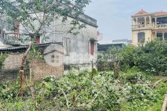 Cần bán 108m đất ngõ thống nhất cự khối ôtô vào đất 20m ra ôtô tránh giá đầu tư