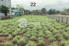 Cần tiền kinh doanh e bán nhanh lô đất tại xã hoà sơn huyện lương sơn tỉnh hoà bình