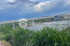 Ace muốn săn đất giá sốc, liên hệ ngay cho em nhé