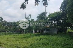 Siêu rẻ đất tại lương sơn, hòa bình 3900m2, giá 5 tỷ