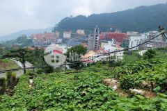 Bán 1200m2 đất thương mại dịch vụ lâu dài tại thị trấn tam đảo, vĩnh phúc. lh 0986934038