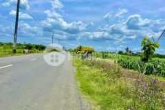 Bán đất mặt tiền tl872b tại yên luông, gò công tây, tiền giang