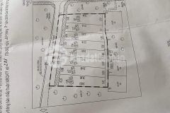 Bán nhanh đấu giá ngô xuyên, giá tốt nhất, 0835459289