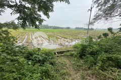 Bán đất rộng xây nhà trọ tại thôn quế, hướng đạo tam dương, vĩnh phúc