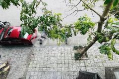 Hàng vip kđt văn quán kinh doanh đỉnh diện tích 72m2, 5 tầng.