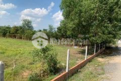 Bán đất rẻ củ chi chính chủ 200m2 mặt tiền nhựa 10m gần kcn tây bắc chỉ 750 triệu sổ riêng.