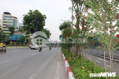 Bán nhà phố chùa láng đường ô tô tránh dt77m2 mt6.5m giá nhỉnh 9 tỷ