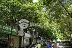Chủ cần bán gấp phân lô phố nguyễn văn huyên, 60m2, 5t, 3.5m, ô tô tránh, kinh doanh vỉa hè