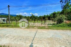 Bán đất vườn khánh hiệp quy hoạch thổ cư ngay trung tâm hành chính xã khu bàn cờ