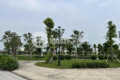 Bán 2 lô đất kdc ngọc châu đồng triều, tp hải dương, 72m2, mt 4.5m, đường 15.5m, giá tốt