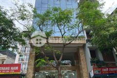 Chính chủ cho thuê toà vp xây mới 100 mặt phố vũ tông phan, dt 145m2 mt9m...giá 150trth