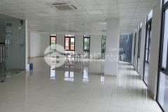 Hot vp cho thuê sàn đẹp, csvc đầy đủ, khu vực sầm uất q. hải châu mizuland