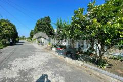 Hàng hiếm giá rẻ nhất tđc hòa nghĩa dương kinh hp giá