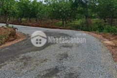 Bán 2837m2 có 300m2 thổ cư xã tân lâm, xuyên mộc, giá cực tốt