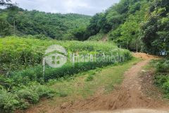 Bán gấp đất, lương sơn, hòa bình 2886m2, giá 4,2 tỷ