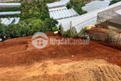 Bán gần 2 xào đất nông nghiệp mặt tiền đường xã xuân thọ