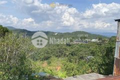 Bán đất view thông đường nhựa thoáng tại tp. đà lạt