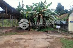 Gia đình cần tiền bán nhanh đất mặt phố 210m,mt 10 giá 850tr,ful thổ cư, lh 0968181902