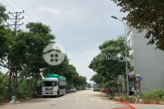 Đất đẹp hiếm đường ô tô tránh vỉa hè thoáng tdc trâu quỳ dt 39m2. giá 150 triệu m2