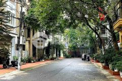 Bán nhà 3t, mt 15m, dt 230m2, ôtô vỉa hè, phân lô phố lâm du, bồ đề, long biên, hà nội giá 34,5 tỷ