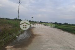 Bán đất mặt đường 27m khu đấu giá đồng đống lâu, thanh vân, tam dương, vĩnh phúc. lh 0986934038