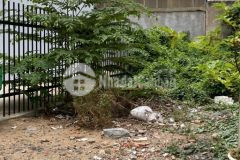 Cắt lỗ lô 55m2,nằm liền kề các kdc hiện hữu,giá chỉ 3tỷ5.