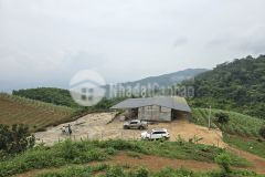 Bán đất tân lạc, hòa bình 47ha, giá 13 tỷ