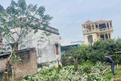 Mảnh đất vàng ngõ tự do 1 cự khối 127m 9tỷ lô góc ôtô vào đất chia lô đầu tư