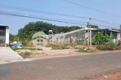 Đáo hạn ngân hàng thanh lý gấp nền đất 200m2 ngay chợ tân thành đồng xoài