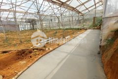 Bán lô đất sổ riêng đường trần đại nghĩa