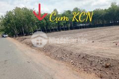 Bán đất thổ cư ngay trung tâm quốc lộ, xã quang minh, thị xã chơn thành, tỉnh bình phước.