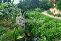 Đất lương sơn, hòa bình 380m2, giá 1,7 tỷ