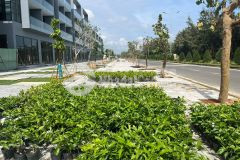 Siêu phẩm shophouse 2 mặt tiền trực diện biển,dt 6x21m,chỉ từ 6 tỷnhht 70,sổ riêng,