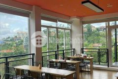 Cần bán nhà kết hợp mô hình kinh doanh đường hoàng hoa thám, p10,đà lạt