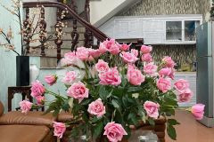 Cực hiếm ba đình, nhà văn cao 45m x 5 tầng, 20m ô tô đỗ, sổ đỏ nở hậu. giá 6,9 tỷ